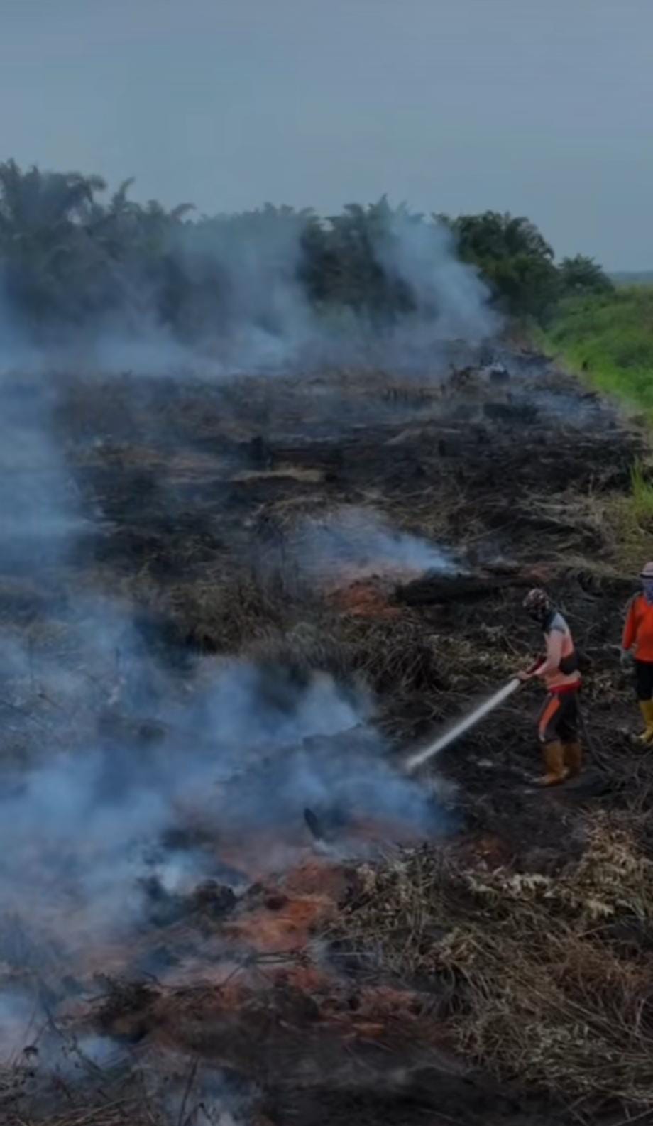 Karhutla concern Presiden Prabowo, Kapolri maksimalkan pencegahan-penindakan 2025