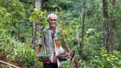 Pahlawan lingkungan Sadiman mbah sadiman penanam pohon Gunung Kidul