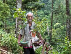 Pahlawan Lingkungan Sadiman: Mbah Sadiman, Penanam Pohon di Tanah Gersang Gunung Kidul
