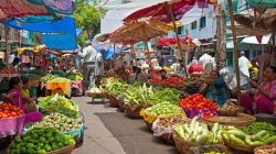 UMKM adalah pahlawan ekonomi Indonesia 61% PDB 97% kerja